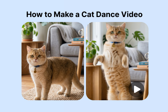 How to Make a Cat Dance Video with AI: Step-by-Step Guide